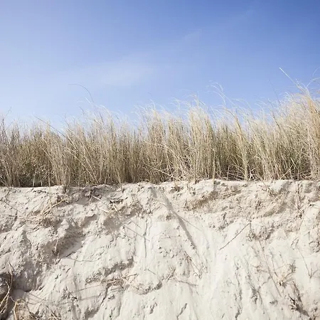 Spiaggiabella Del Silenzio By Ria 토레 리날다