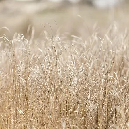 호텔 Spiaggiabella Del Silenzio By Ria 토레 리날다