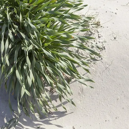 Spiaggiabella Del Silenzio By Ria 호텔 4*